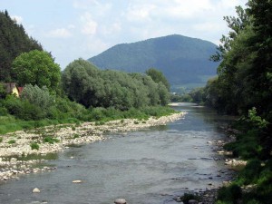 ximg_3426.jpg